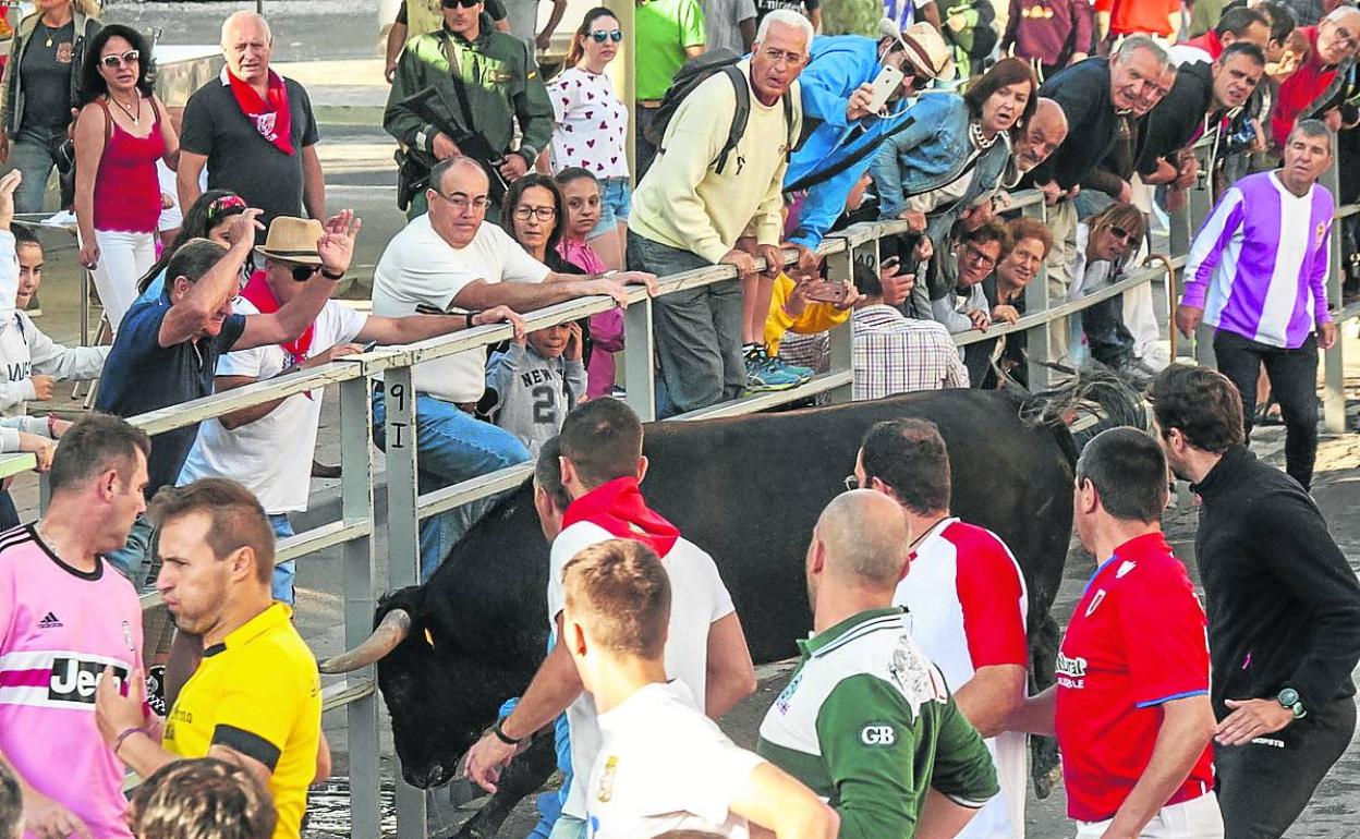 Uno de los encierros celebrados en Cuéllar en septiembre del pasado año. 