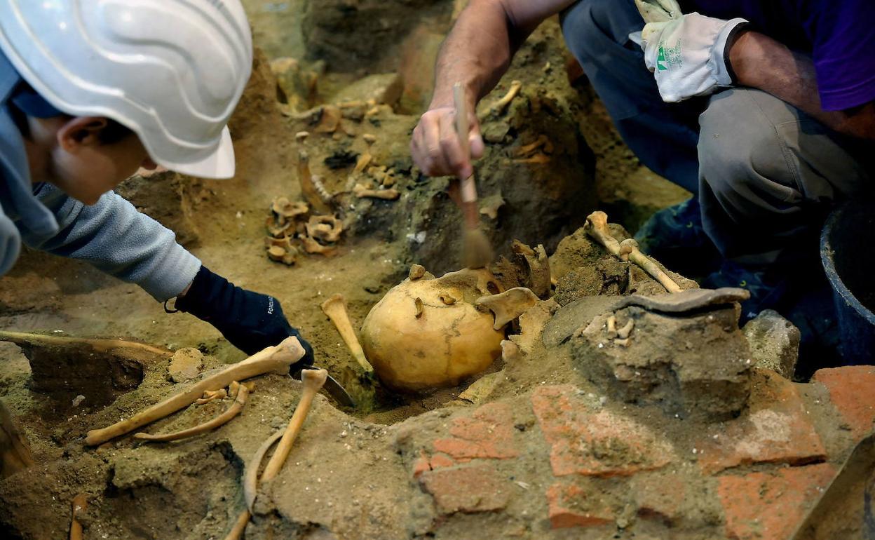 Restos humanos encontrados durante los trabajos de exhumación realizados en la bodega de Los Alfredos de Medina del Campo en 2019.