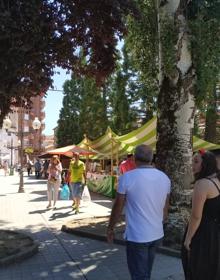 Imagen secundaria 2 - La Feria del LIbro, la Romería del Cristo y la Feria del Camino de Santiago Olvidado están aún por decidir. 