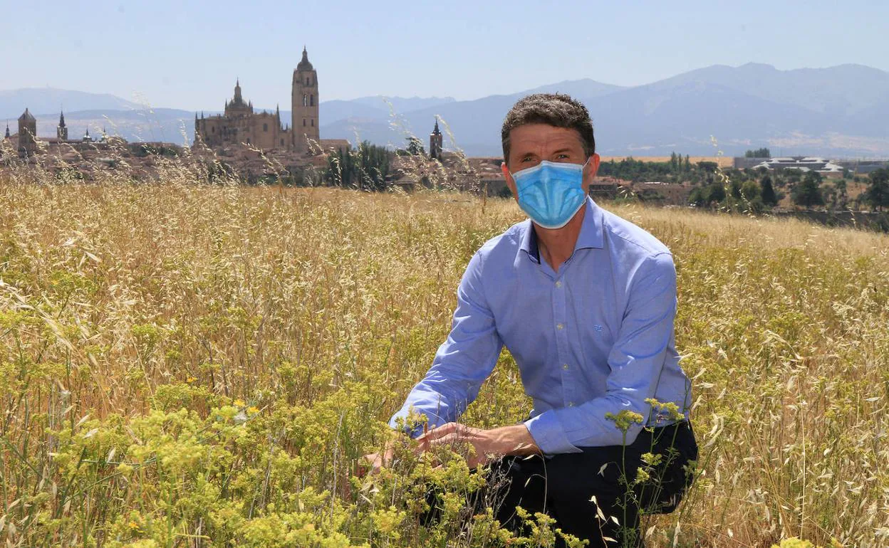 Andrés Torquemada posa para la entrevista en el campo, a las afueras de Zamarramala.