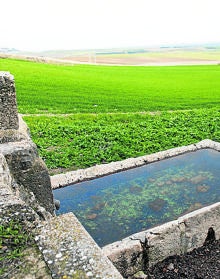 Imagen secundaria 2 - Arriba, reflejo en el agua de una de las fuentes de Matilla de los Caños y en la parte inferior dos de sus fuentes.