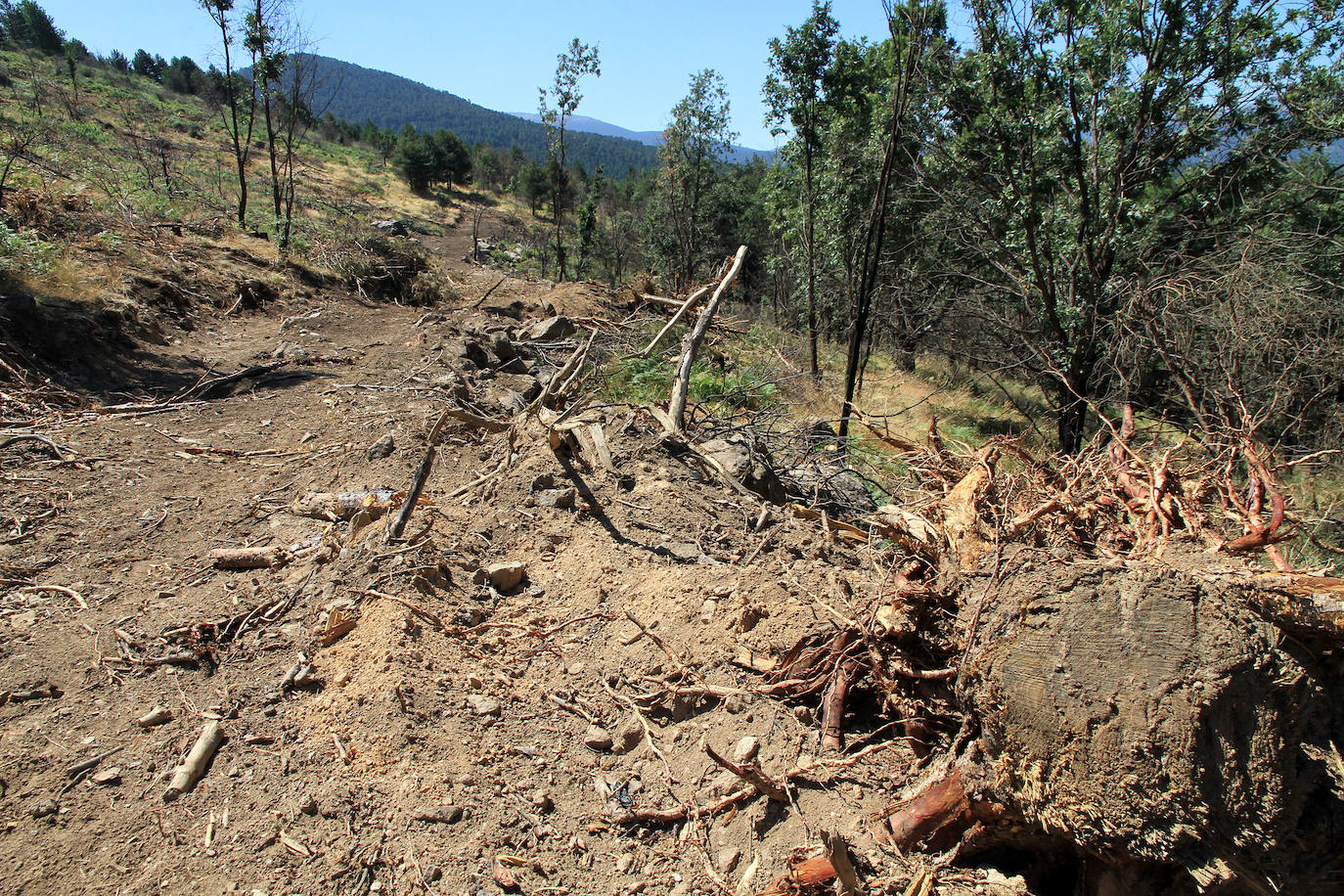 Aquel 4 de agosto en el que ardió Guadarrama. 