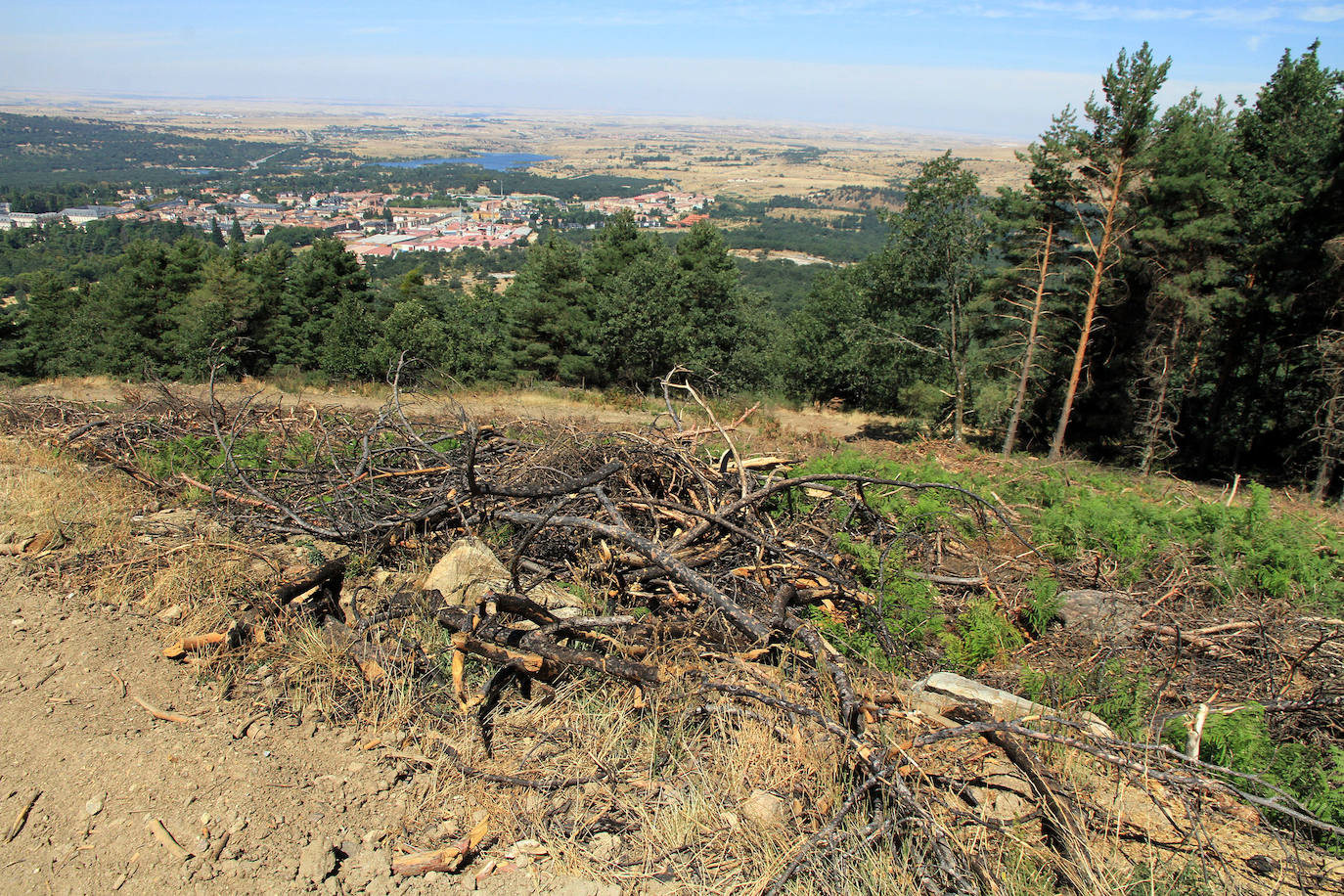 Aquel 4 de agosto en el que ardió Guadarrama. 