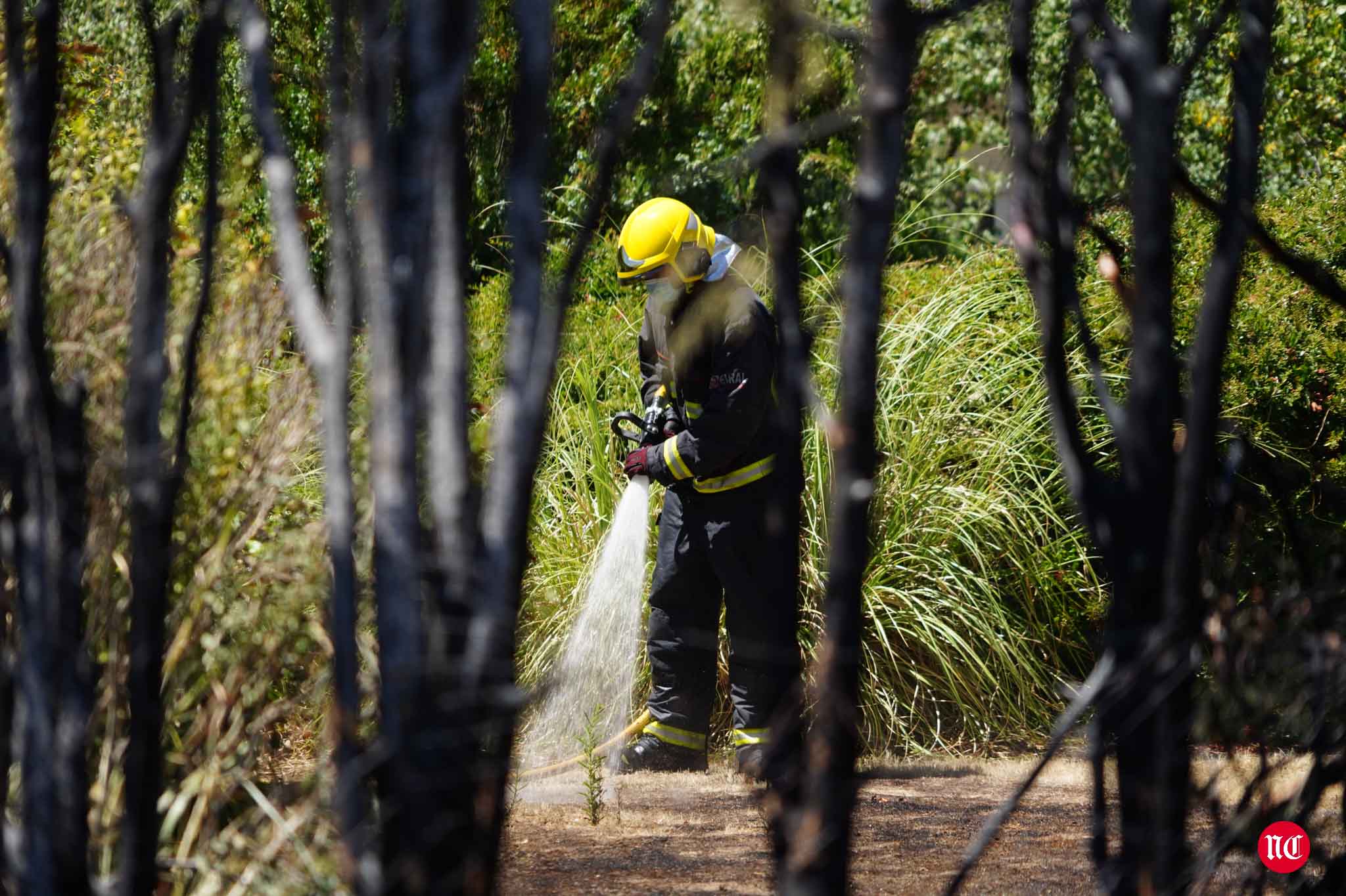 Los bomberos en labores de extinción del incendi.o
