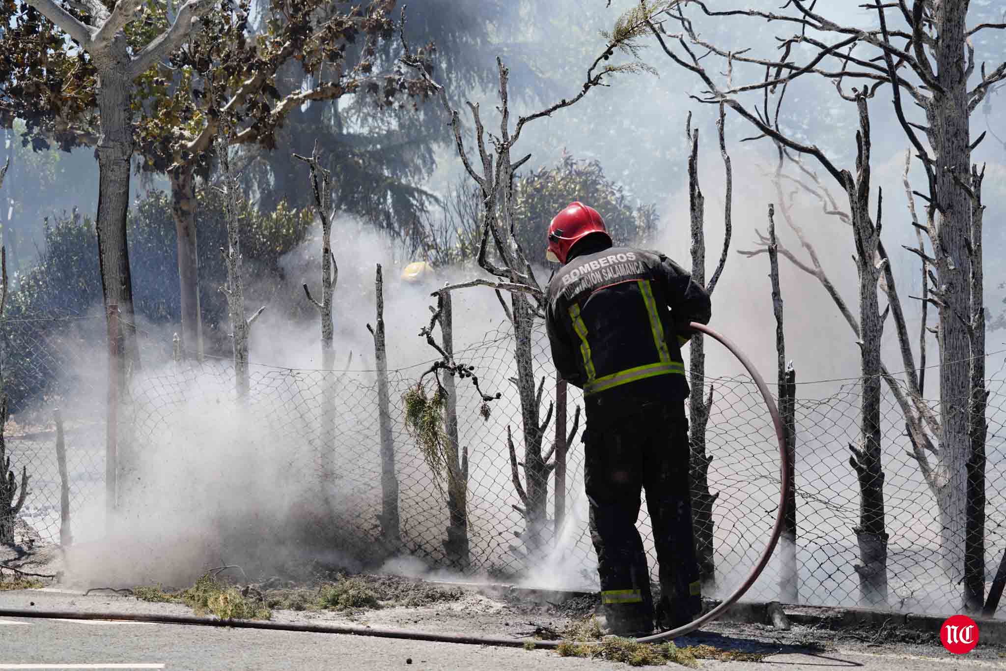 Los bomberos en labores de extinción del incendi.o