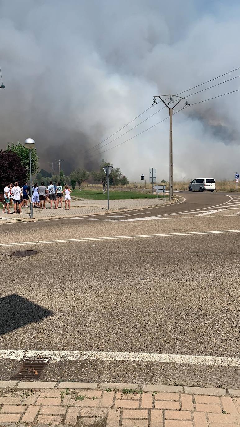 Las llamas han afectado al pinar de Simancas. 