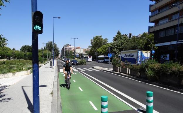 Detalle de los bolardos en mitad del carril bici.