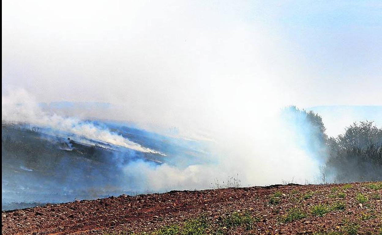 Zona afectada del incendio en Tabanera de Valdavia.