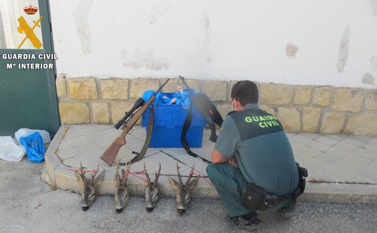 Un guardia civil, junto a las cabezas y las armas intervenidas. 