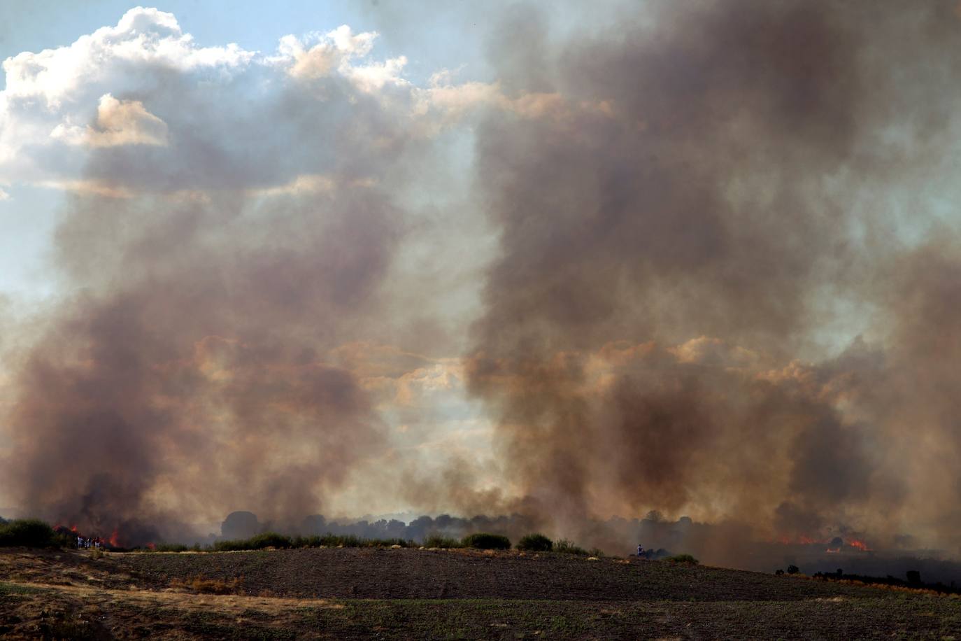 Las llamas han arrasado más de 2.000 hectáreas en la comarca de Aliste