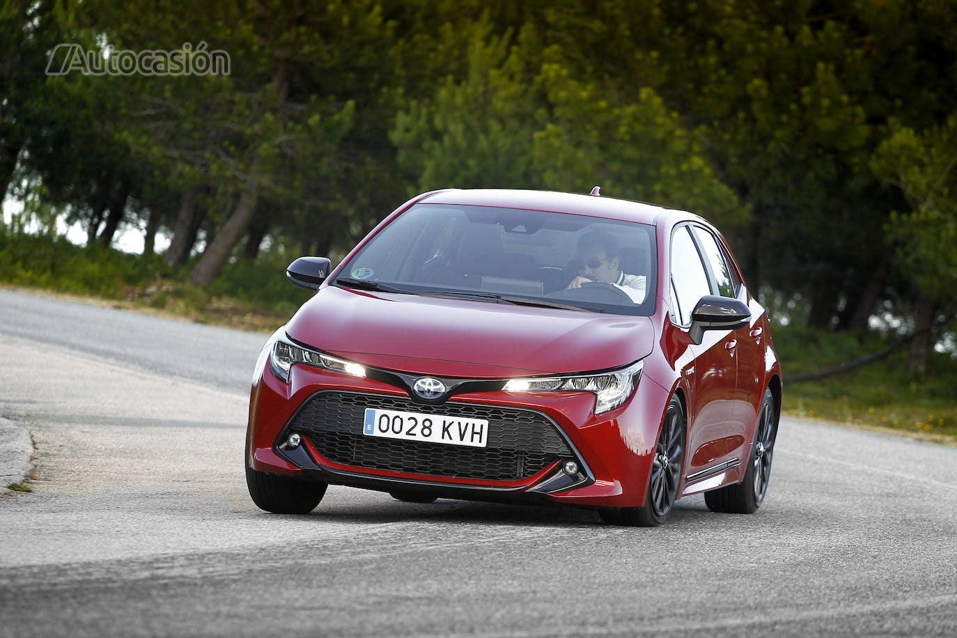 Fotos: Fotogalería: Toyota Corolla 1.8H