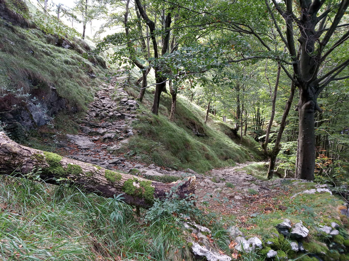 Fotos: Hayedo de Upo (cima: Upo)