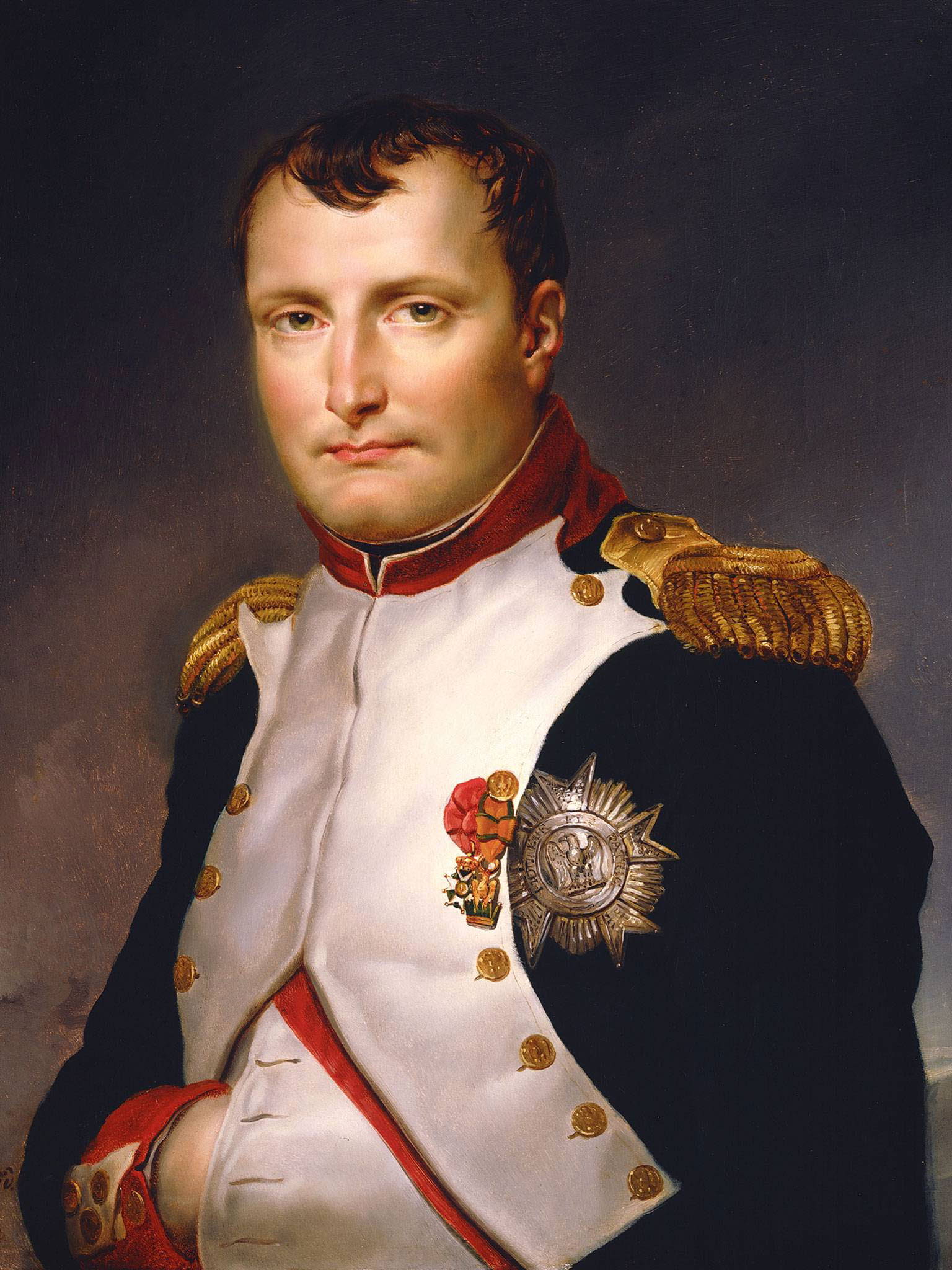 Retrato de Napoleón. 