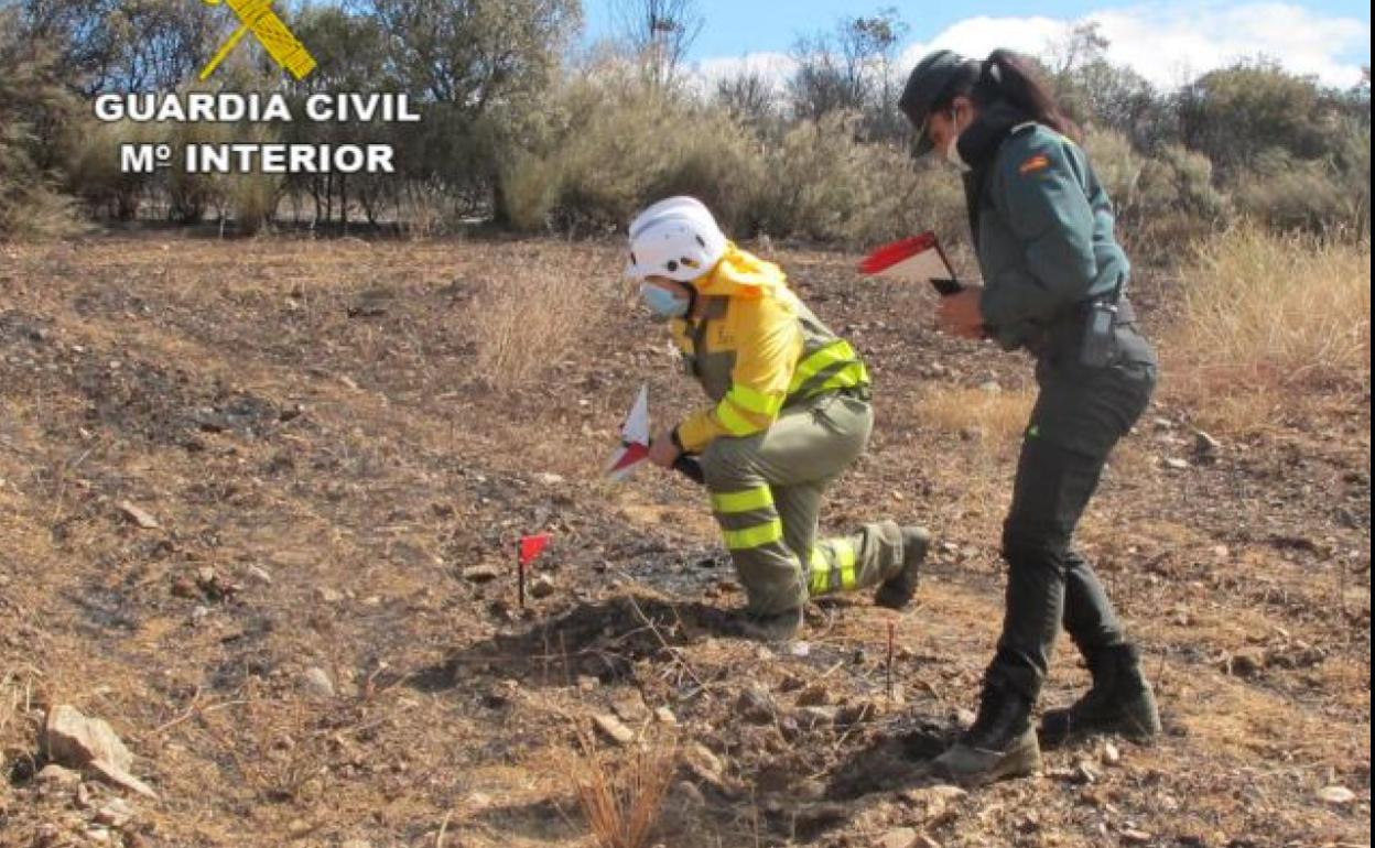 Labores de investigación de un incendio forestal.