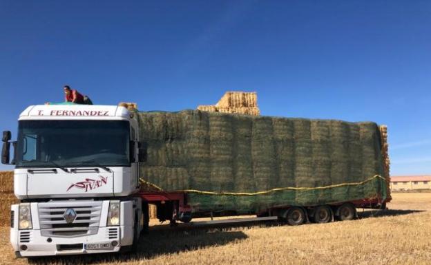 Un camión con paja para trasladarla a las explotaciones ganaderas de Domez afectadas por el incendio. 