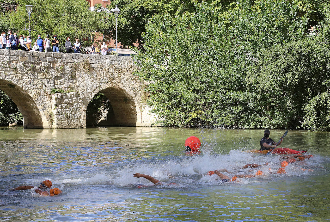 Varios nadadores toman la salida. 