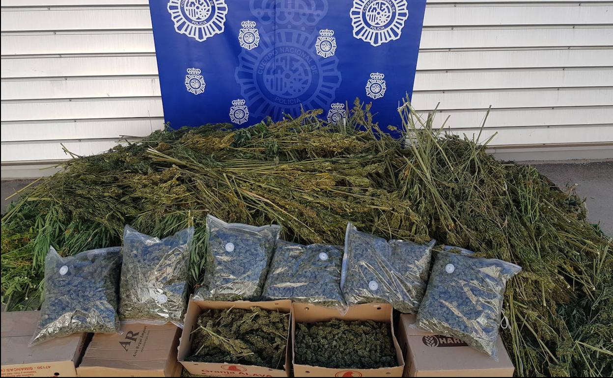 Droga que le fue incautada al detenido,