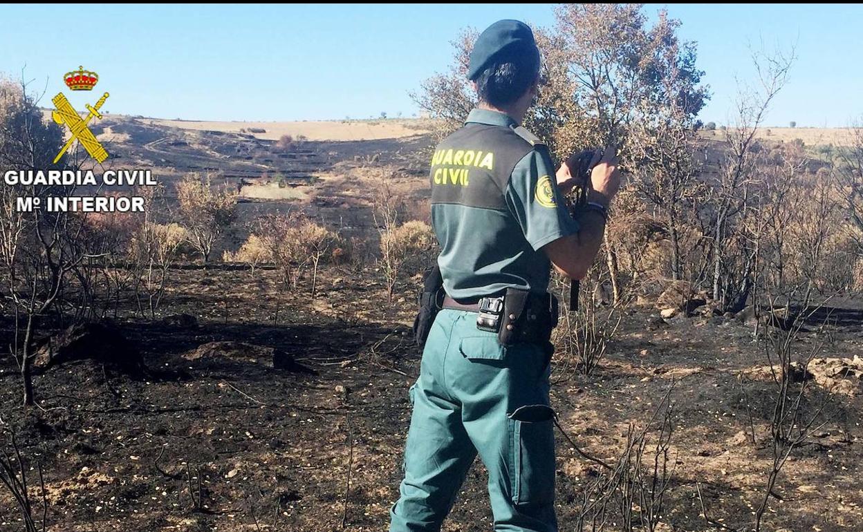 Incendio forestal registrado ayer en Losilla de Alba (Zamora). 