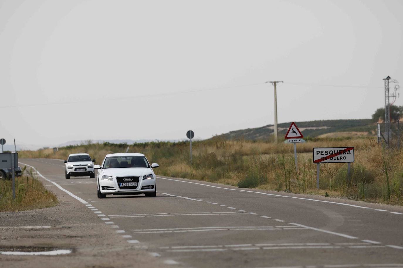 Acceso a Pesquera por carretera Pesquera de Duero-Olivares de Duero VP-3001.