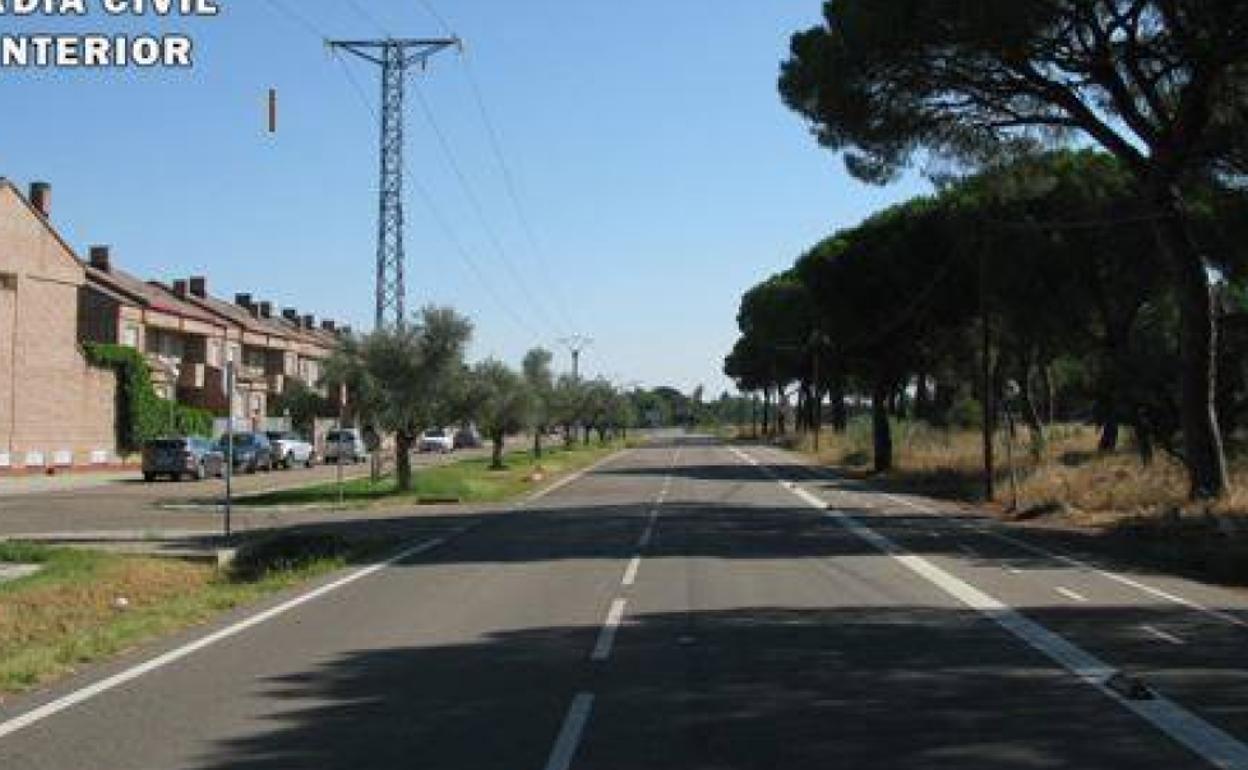 Pinar afectado y urbanización Entrepinos.