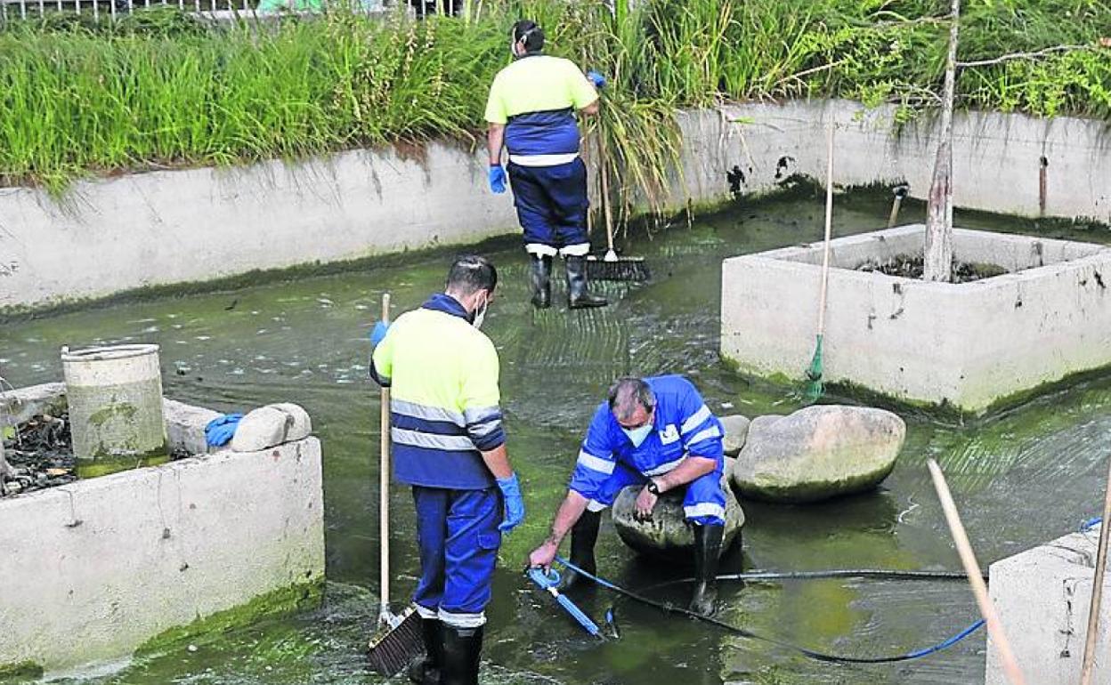 Operarios de Urbaser limpian esta semana el estanque del Salón.