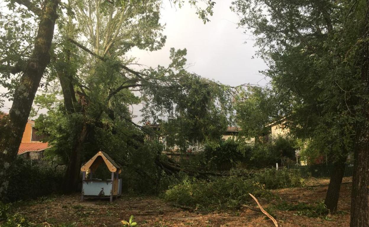 Imagen de los destrozos del temporal en el patio del colegio.