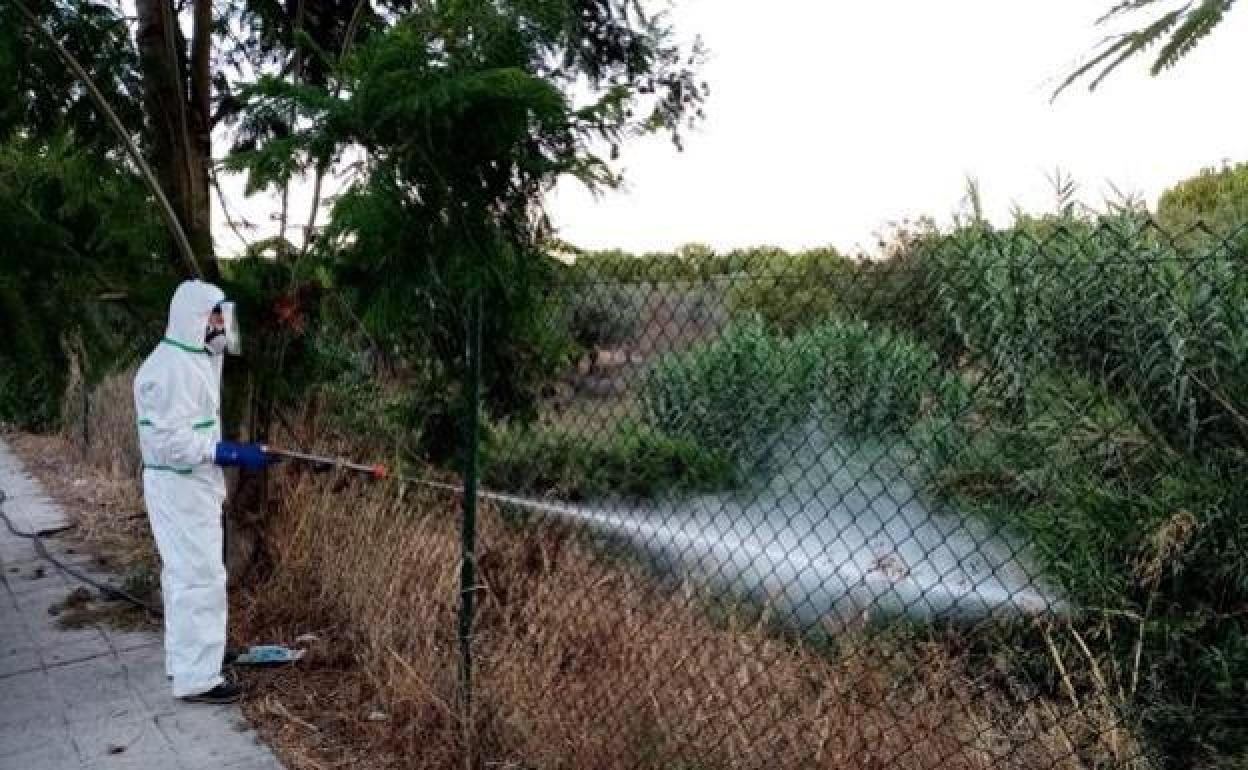 Un operario fumigando un terreno en Palomares del Río (Sevilla), donde se han dado varios casos.