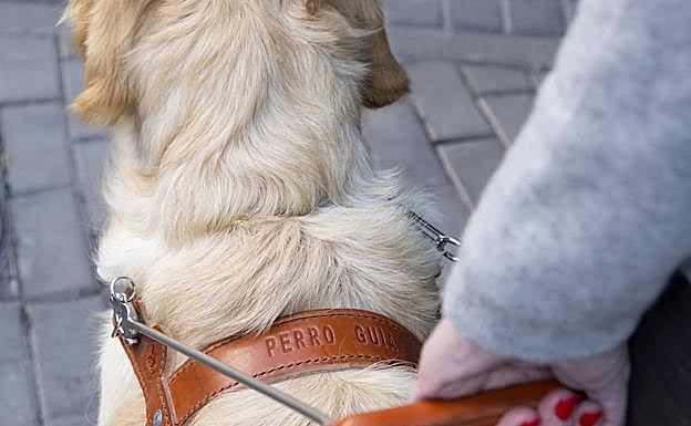 Caminando junto a una de las personas con ceguera. 
