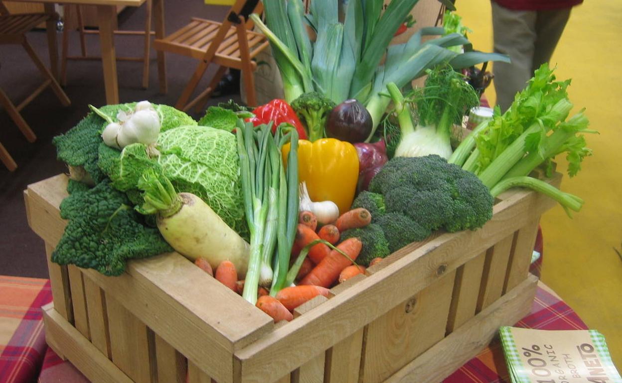 Verduras y hortalizas derivadas del sistema de producción ecológica.