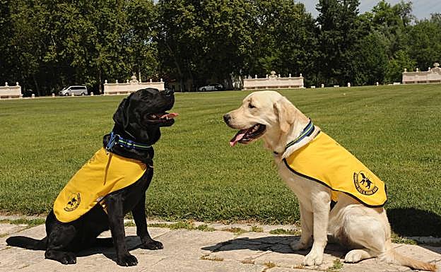 Con sus chalecos en pleno proceso de aprendizaje.