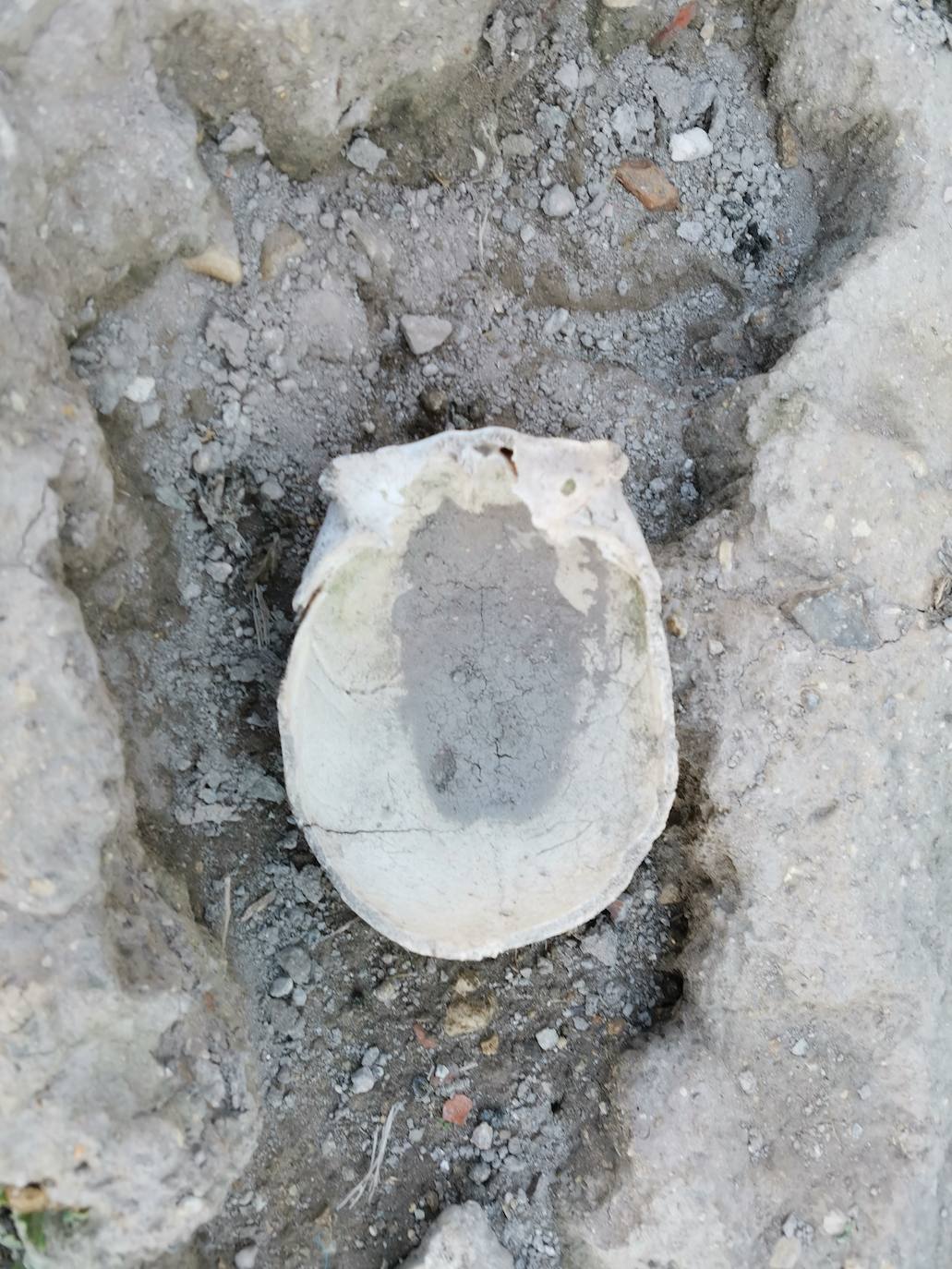 Lugar en el que se encontraron los huesos humanos.