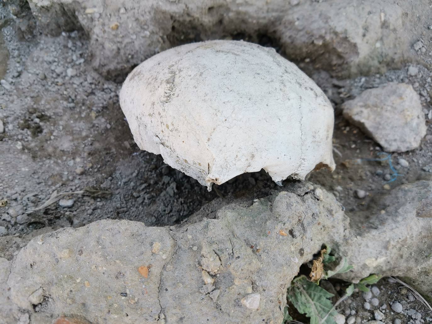 Lugar en el que se encontraron los huesos humanos.