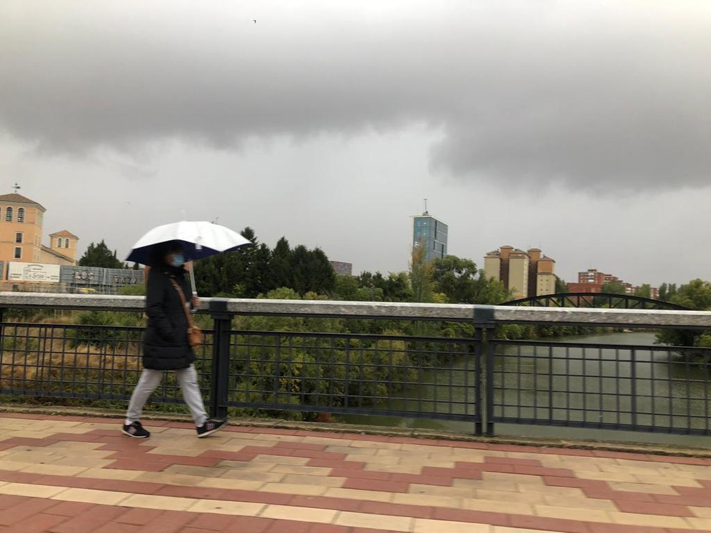 Fotos: Activada la alerta naranja por viento en Valladolid