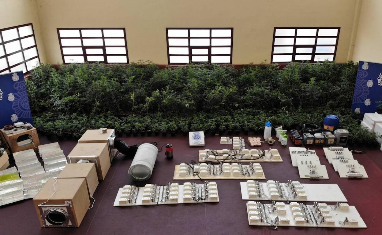 Material y plantas incautadas, ya trasladado a las dependencias de la Policía Nacional. 