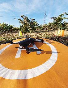 Imagen secundaria 2 - Preparación para la realización de labores de mapeo con un dron multiespectral en un viñedo de Ribera del Duero 