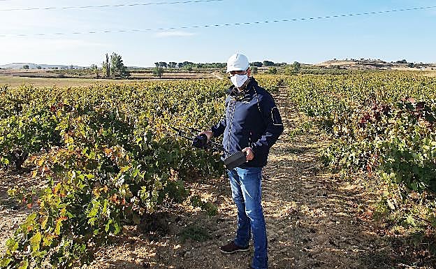 Imagen principal - Preparación para la realización de labores de mapeo con un dron multiespectral en un viñedo de Ribera del Duero 