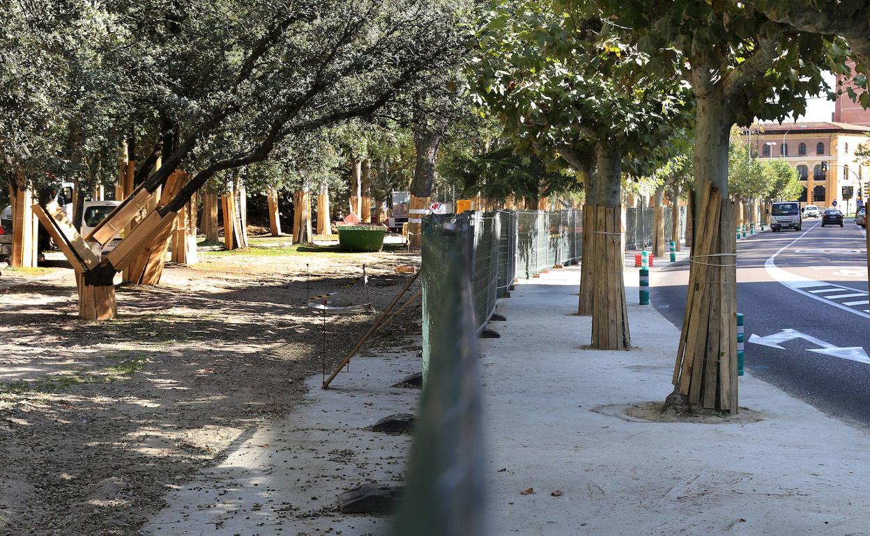 La imagen permite apreciar cómo el parque se encuentra ya al mismo nivel que la acera de la avenida de Simón Nieto. 