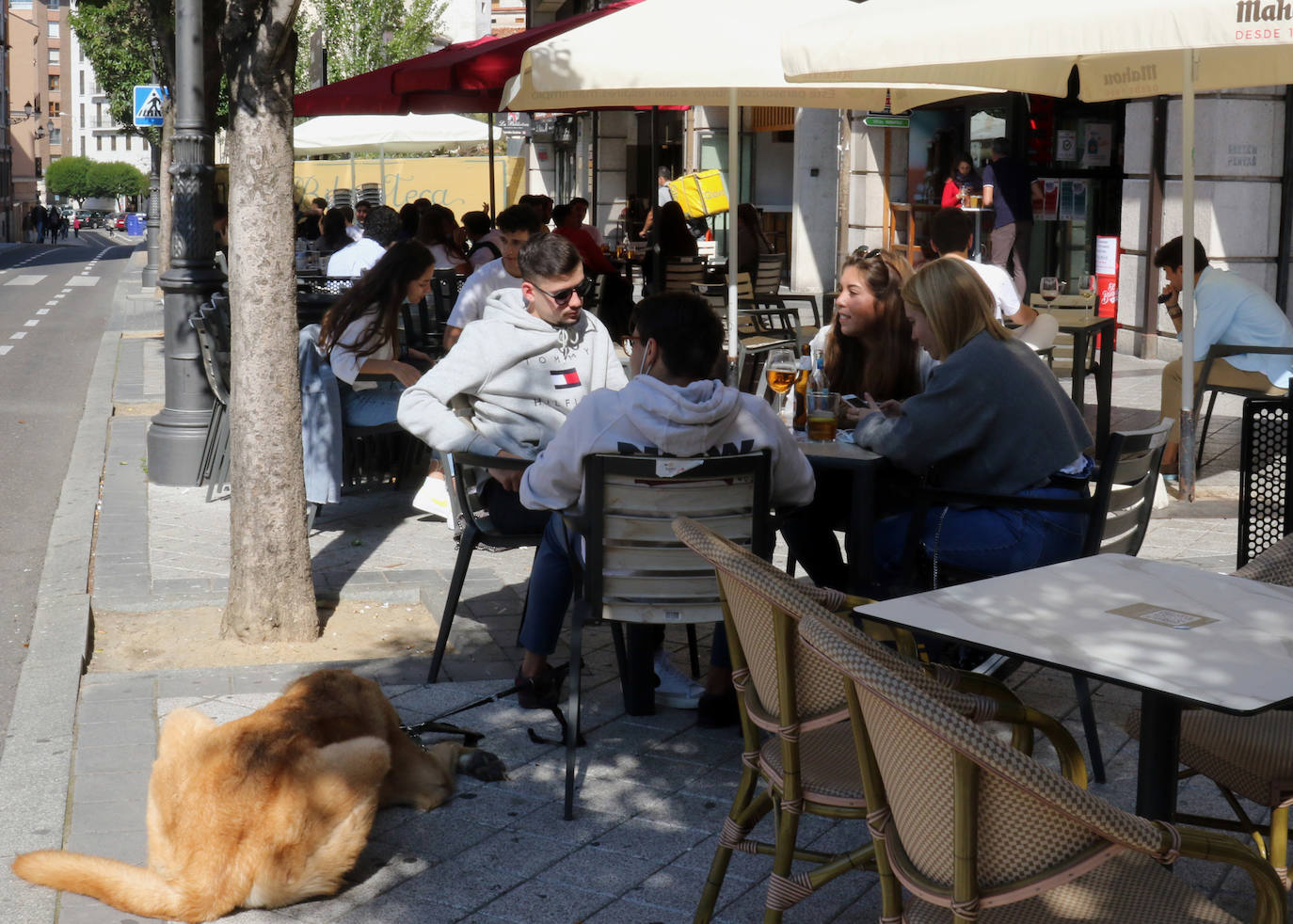 Los vallisoletanos han recibido el viernes de puente disfrutando de las buenas temperaturas en las terrazas de la ciudad.