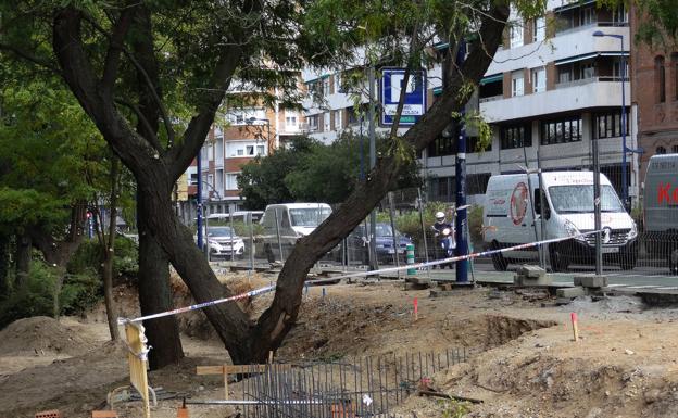 Imagen principal - El desvío del carril bici de Isabel la Católica en Valladolid salva el arbolado del paseo