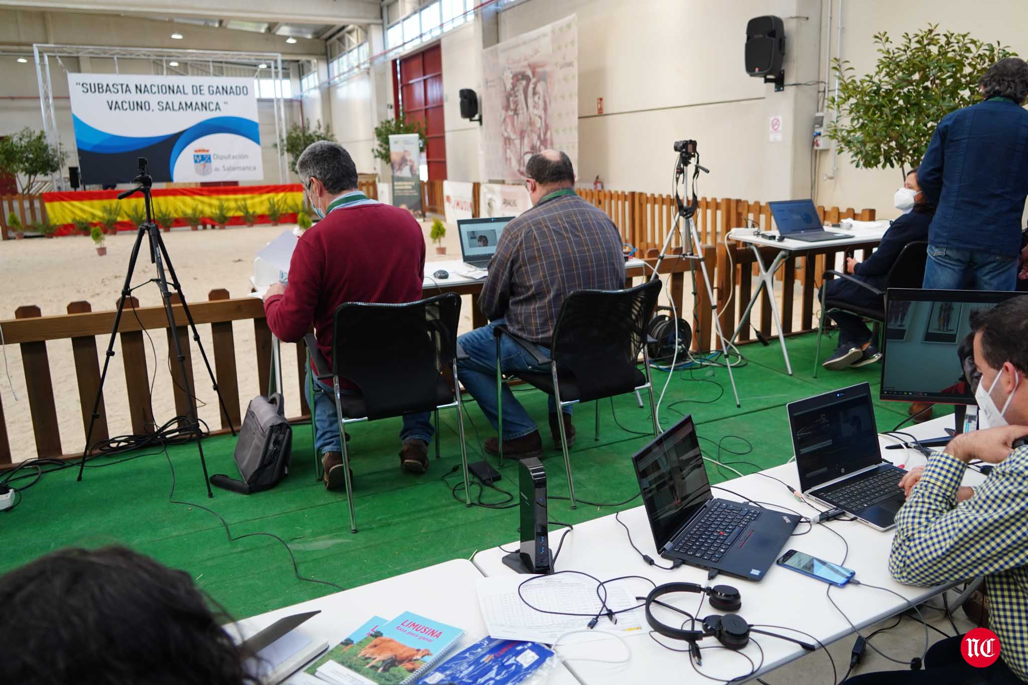 Fotos: La primera subasta on line de ganado vacuno en Salamanca