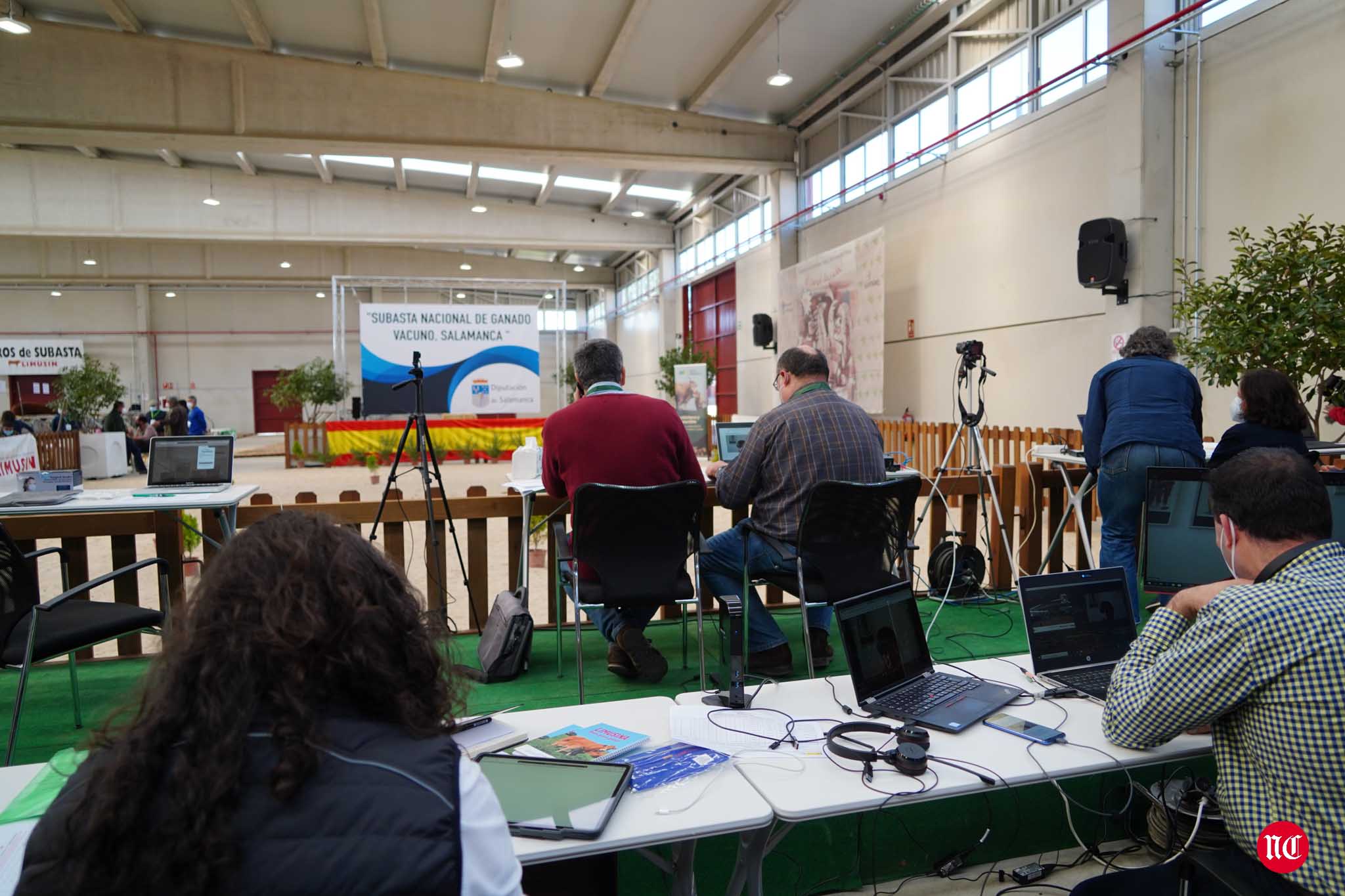 Fotos: La primera subasta on line de ganado vacuno en Salamanca