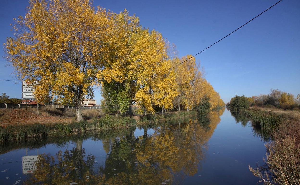 El Canal de Castilla en la localidad de Grijota, en Palencia.
