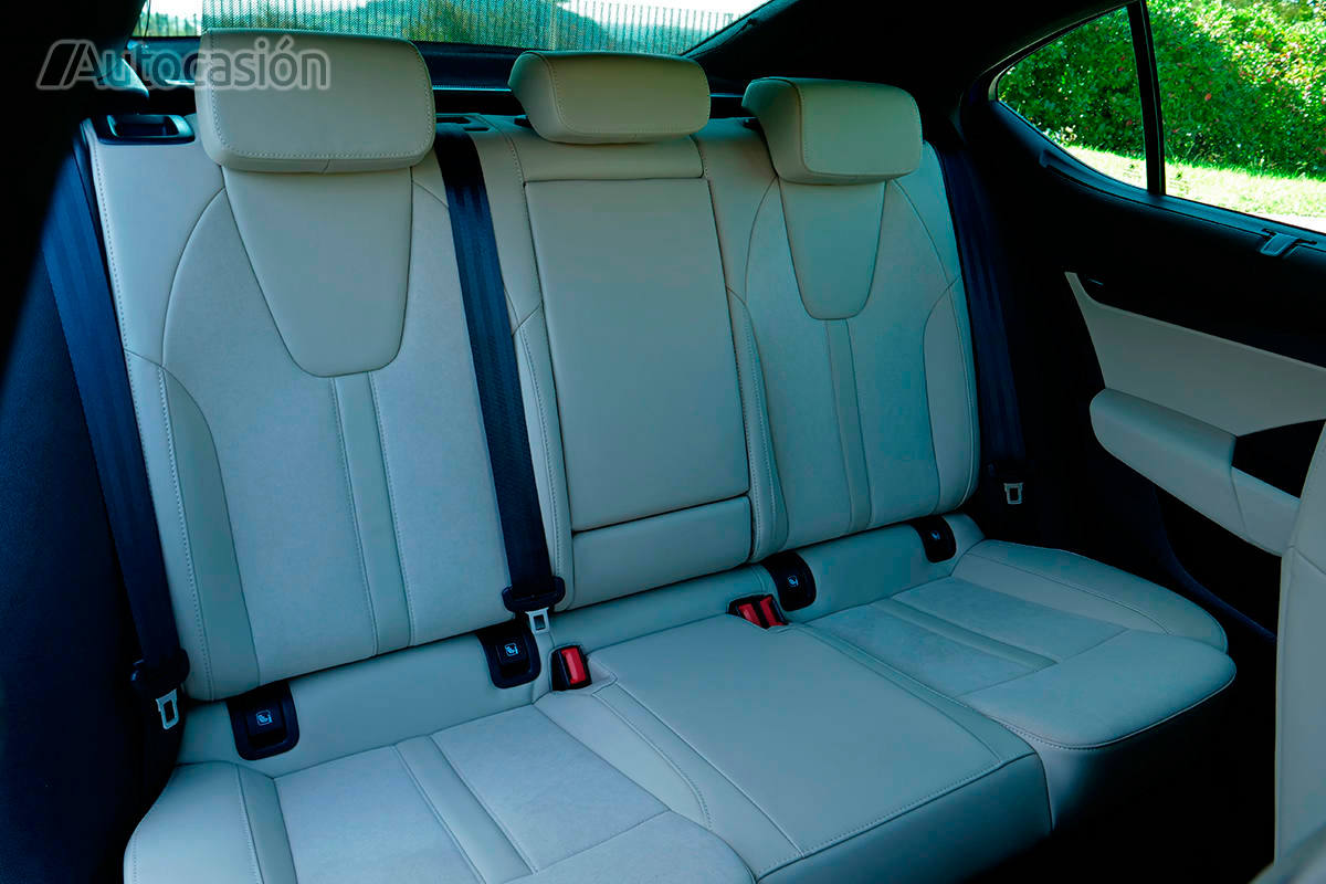 Fotos: Fotogalería: Skoda Octavia 1.5 TSi 2020