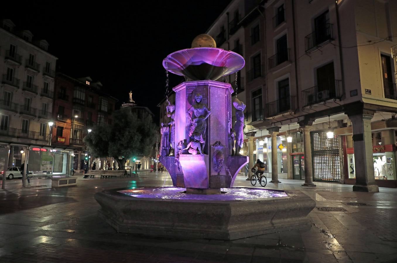 Fotos: Valladolid se viste de rosa