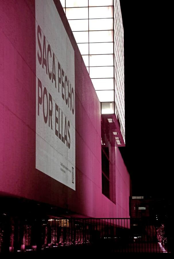 Fotos: Valladolid se viste de rosa