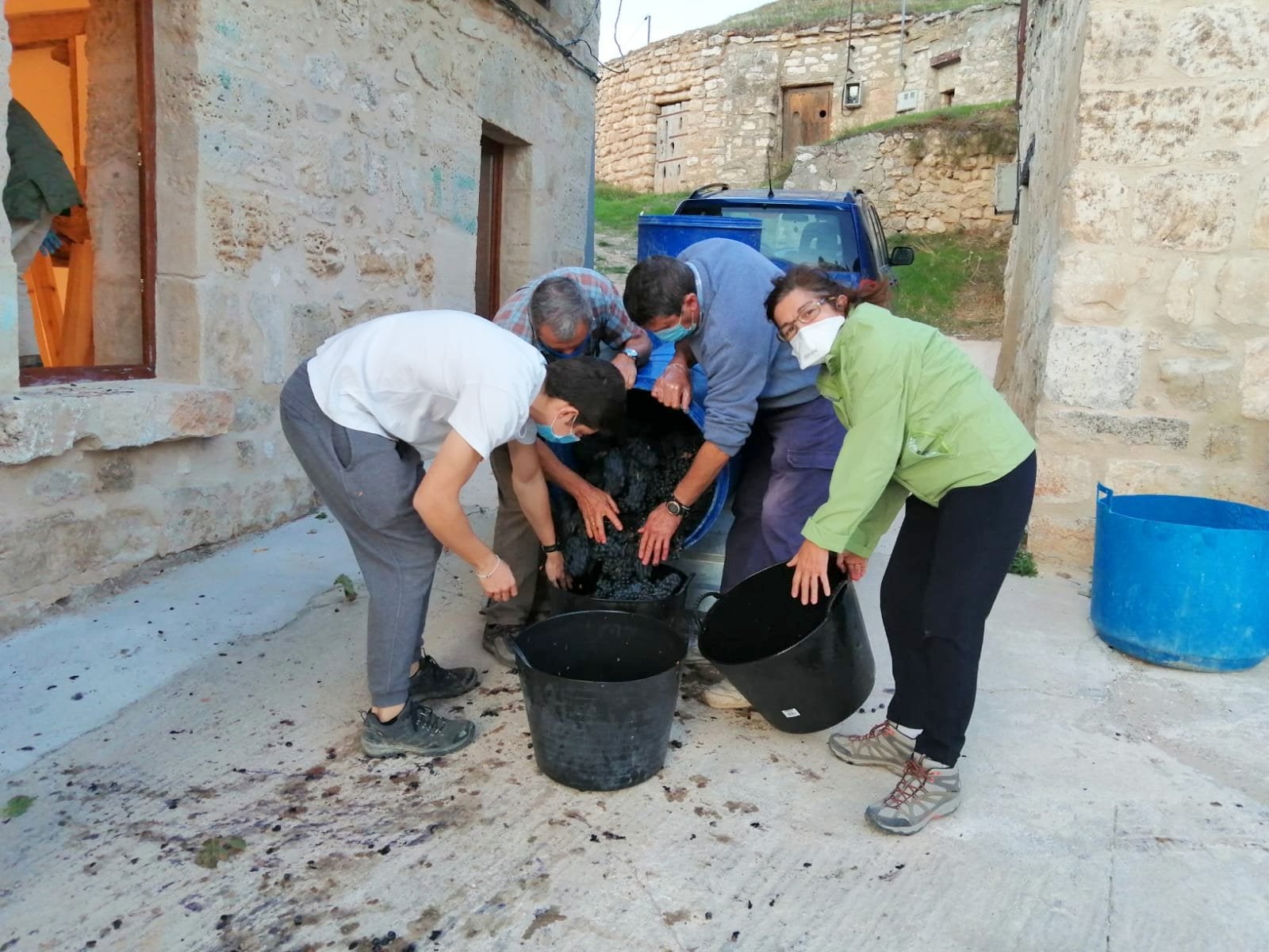 Varios miembros de la Asociación durante la vendimia