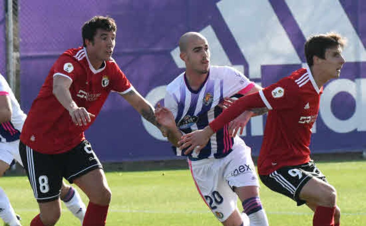El blanquivioleta Oriol Rey, marcado por dos futbolistas del Burgos, durante el primer partido de esta campaña del Real Valladolid Promesas