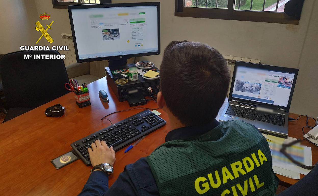 Efectivos de la Guardia Civil durante una investigación por un delito telemático. 