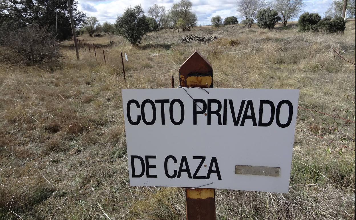 Coto de caza de Villalba de los Alcores, próximo a la carretera de Mucientes.