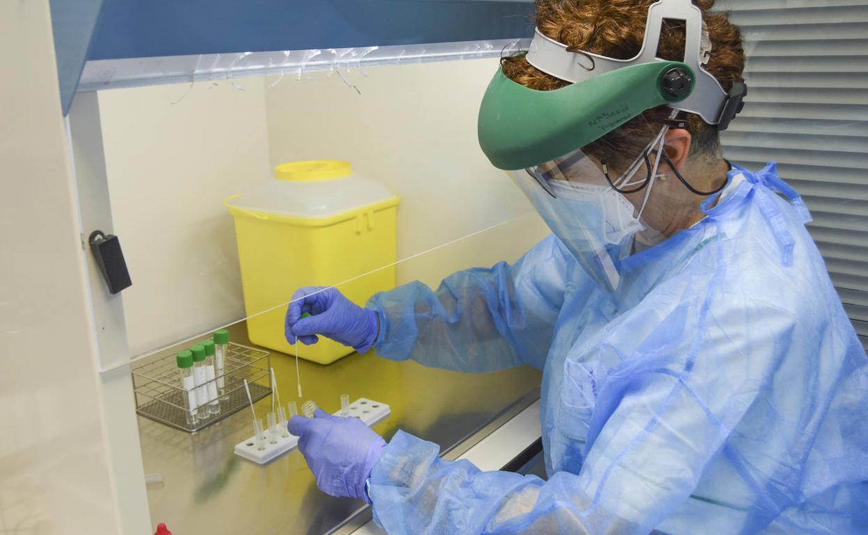 Una sanitaria realizadon el test rápido de antígenos para covid-19.